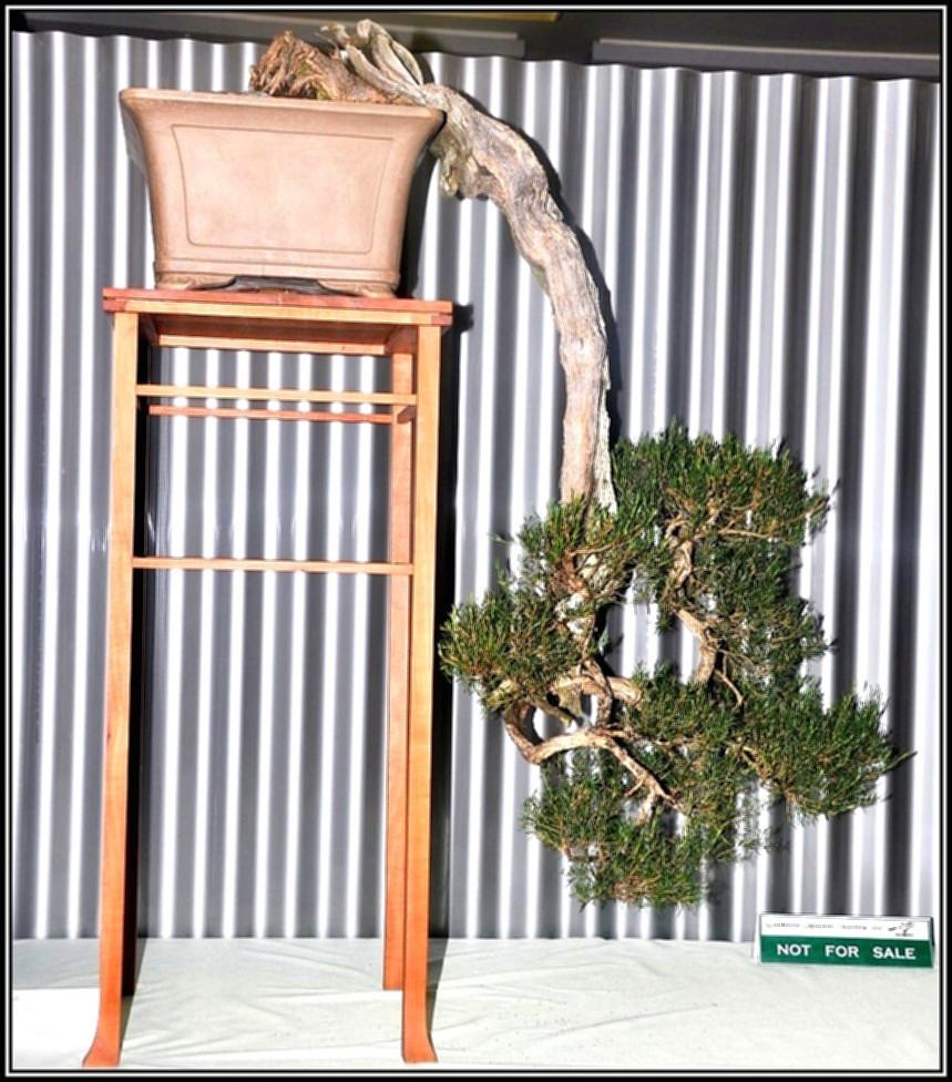 kunzea